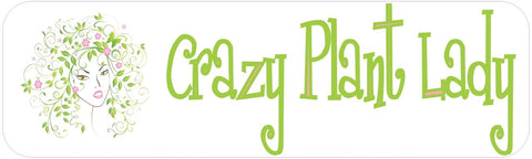 10" x 3" Crazy Plant Lady Bumper Sticker Decal Vinyl Window Stickers Decals Car