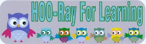 10"x3" Hoo Ray For Learning Owls Bumper Sticker Decal Car Owl Window Stickers Decals