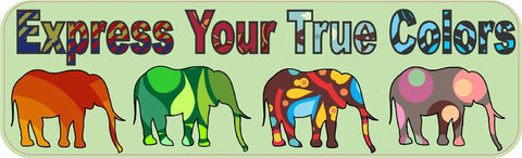 10inx3in Express True Colors Bumper Sticker Elephant Decal Window Stickers Decals