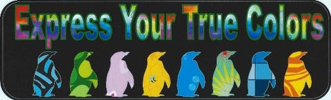 10inx3in Express True Colors Bumper Sticker Penguin Decal Window Stickers Decals