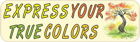 10 "x 3" Express Your True Colors Bumper Sticker Decal Window Stickers Decals