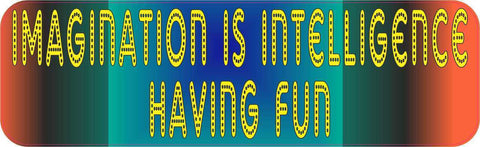 10in x 3in Imagination Is Intelligence Having Fun Bumper Sticker Vinyl Window Decal